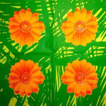259 Daisies  - 3 ply - Fasana - CS